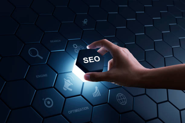 SEO Company in udaipur