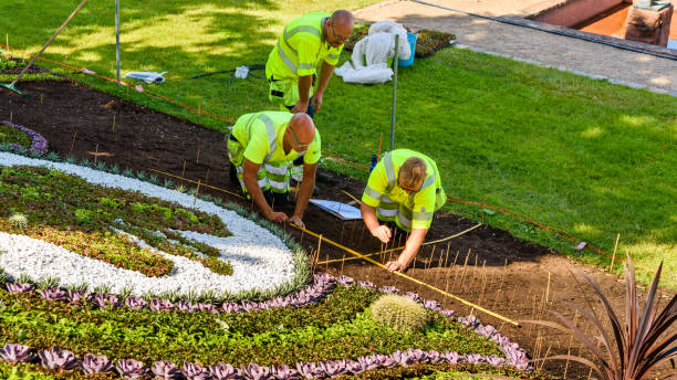 professional landscaping in Cheshunt